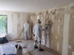 Why You Should Choose Our Mold Remediation Services in Morrisonville, NY